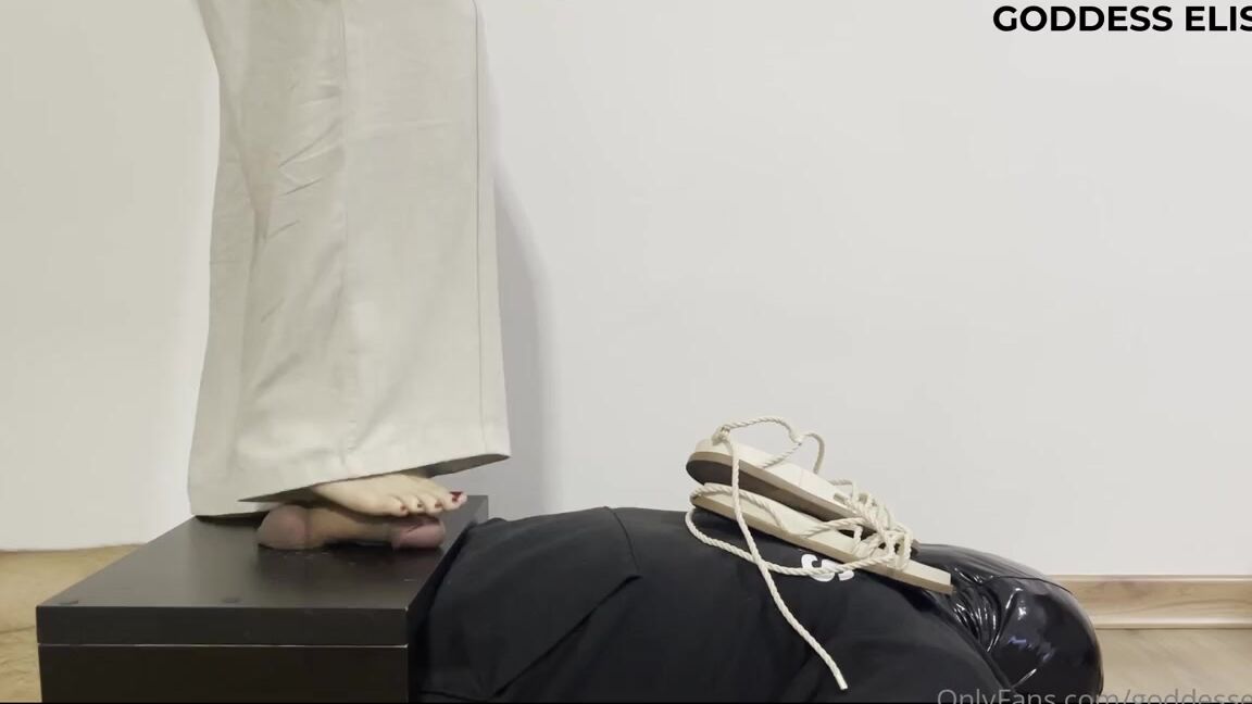 Goddesselisaa Onlyfans One More Day Where I Decide To Put My Slave In The Cockbox And Use Him To Stomp His Cock The Way