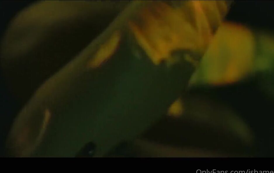 Ishameless Nicknamed Ishamelesss Onlyfans Video 795