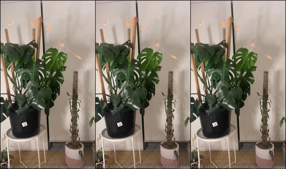 Onlysophiaelizabeth 2751743686 01 23 2023 Plant Mum So Milf