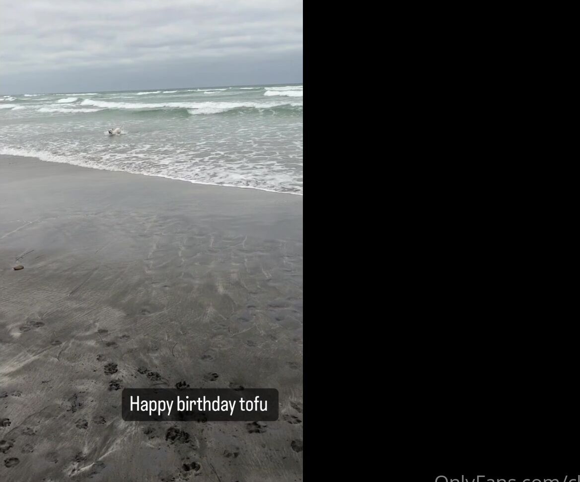 Clca69 3063686434 12 17 2023 Tofu Turned 2 On October 25Th Watch What We Did For His Birthday