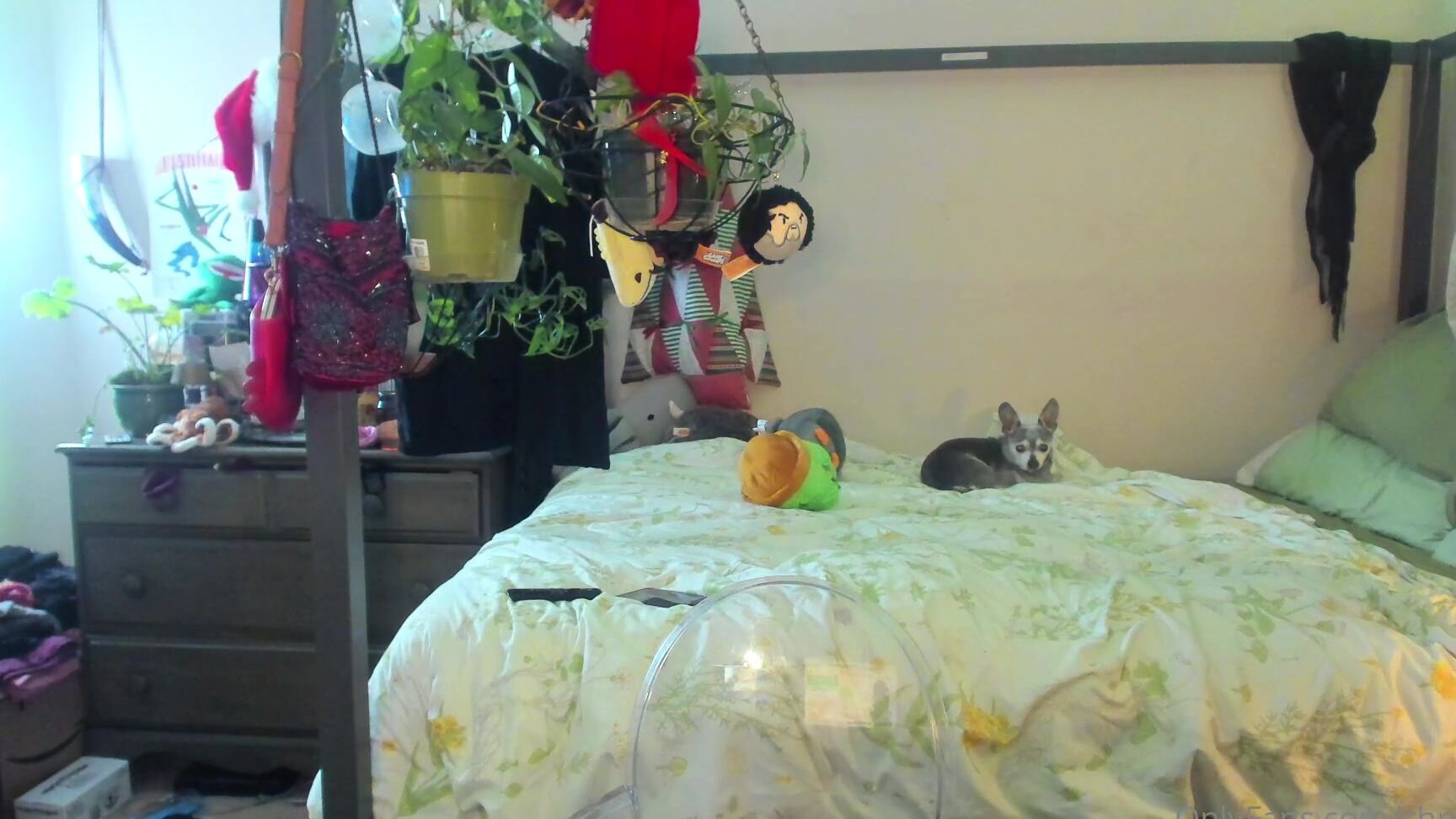 Chryspie Another Couple Lil Fap Tease Videos For Ya How Are You Doing How S Life What S Goin On