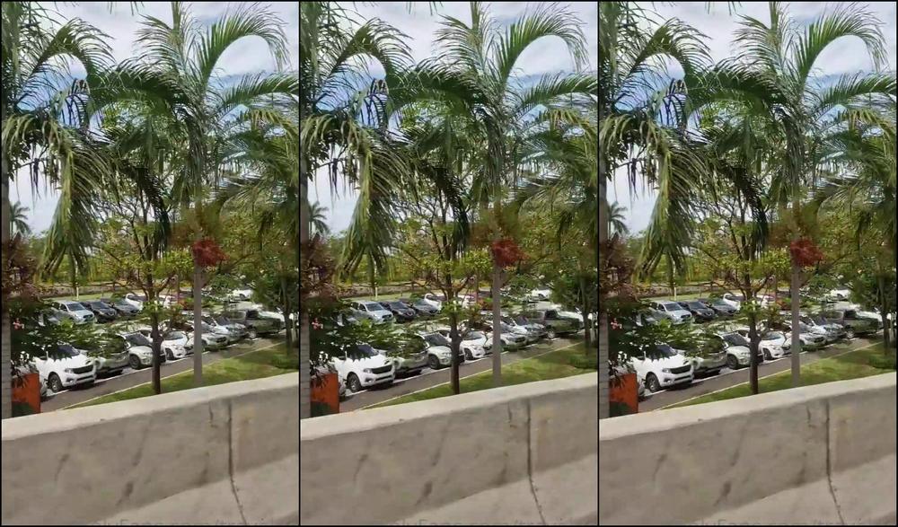 Travelling Peach 2804579992 03 14 2023 Not Quite Lou Lou Dash Cam But Just As Good I Think