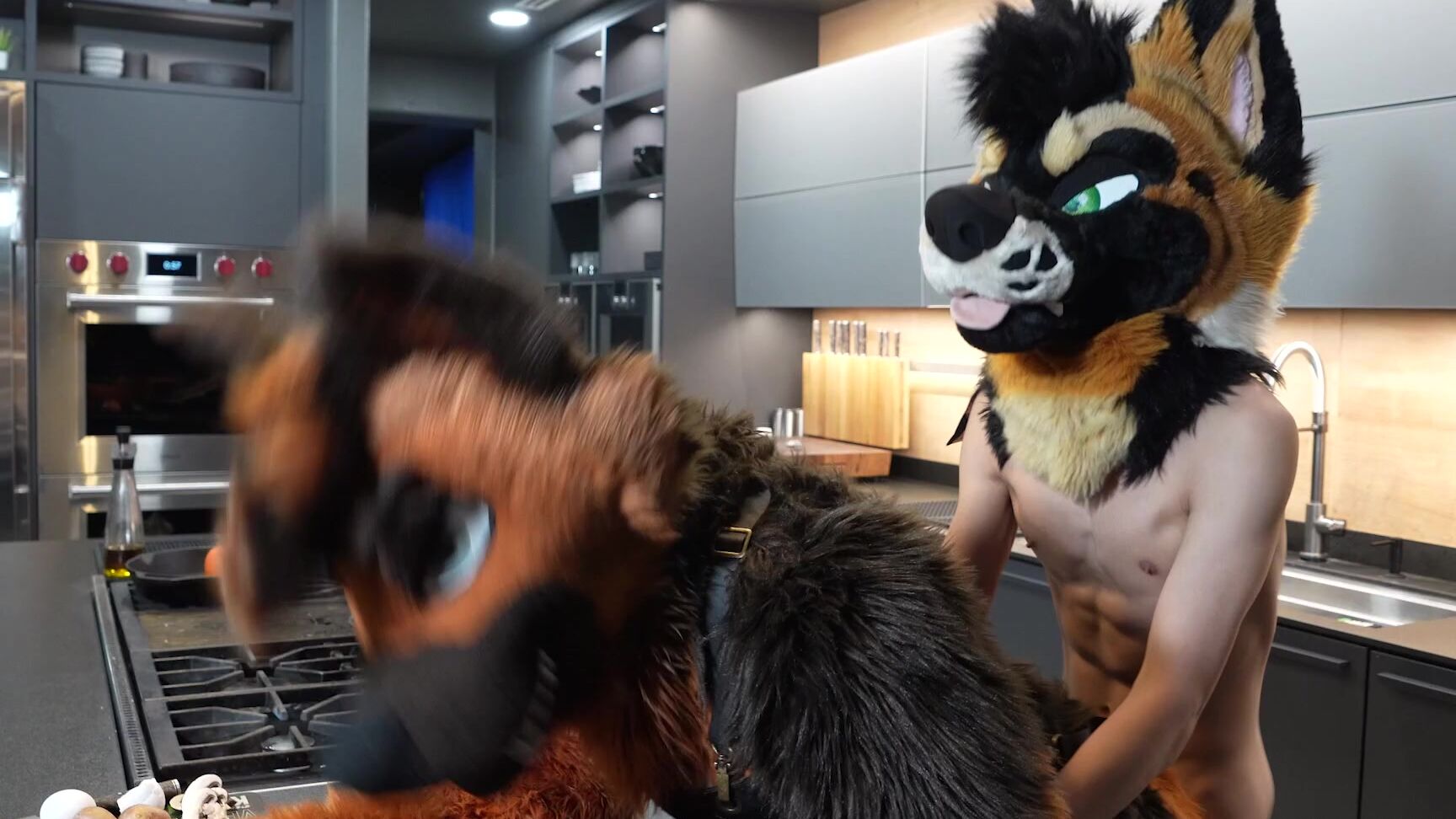 Palacewolf 533307380 Little Teaser Clip Of What S To Come Next Month Want To Se 01 4C449C45 E4Ab 48E5 Ad51 E24A15F83A83