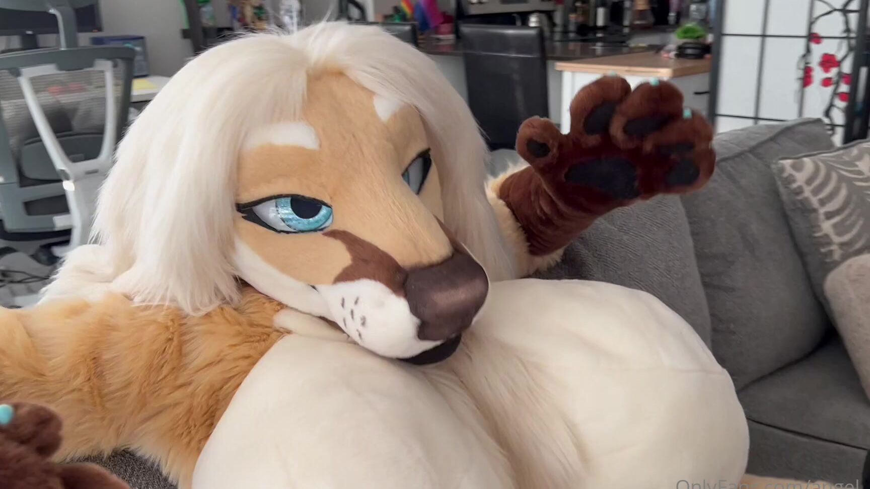 Angel Pups 1395273322 We Have Been Getting A Few Questions Requests Asking For Old 11 0Hgzfozuug58Qaftuce2C Source