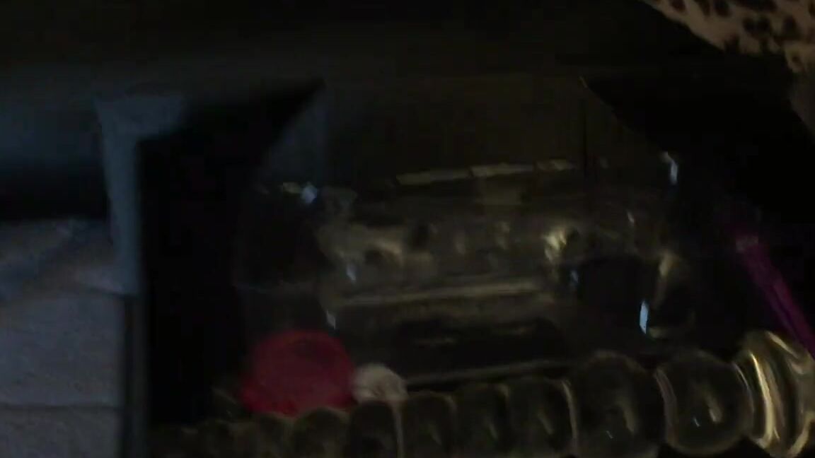 anissakate-13-02-2018-7010036-exclusive-video-with-the-stunning-lizadelsierra-on-my-onlyfan