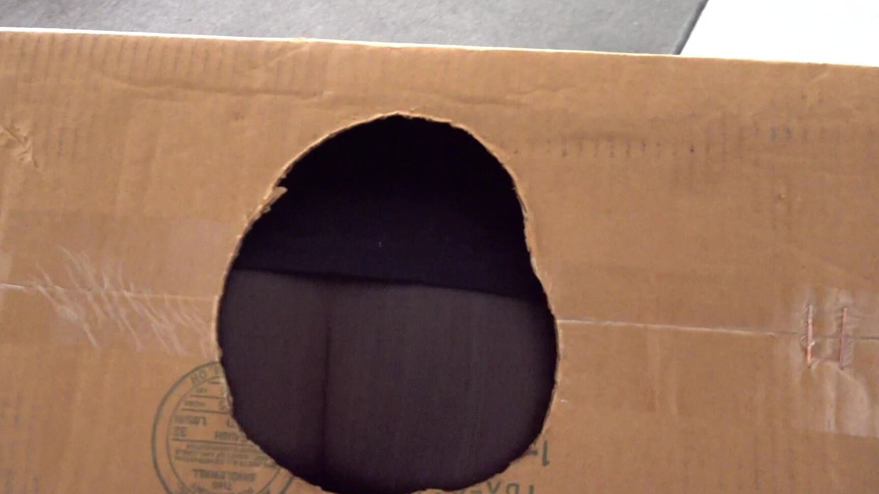 Sammi Starfish Bts Of Oblivious Stepmom S Costume Creampie Planning To Film