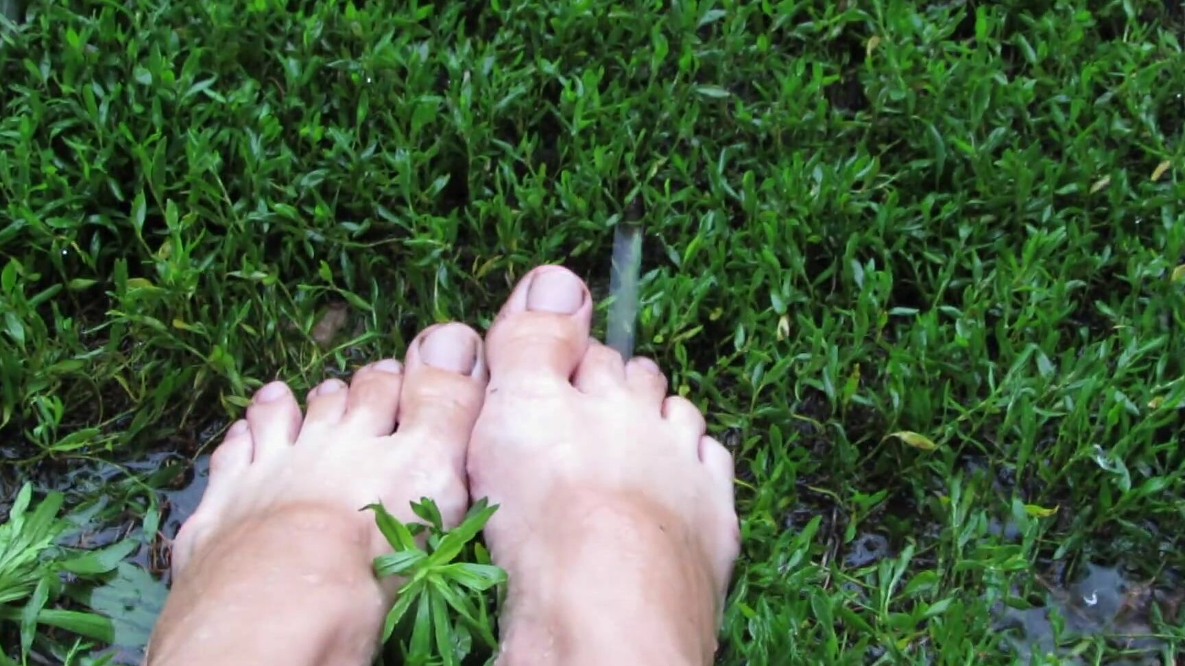 SexyAnka 07.Bare feet in the rain Pornhub