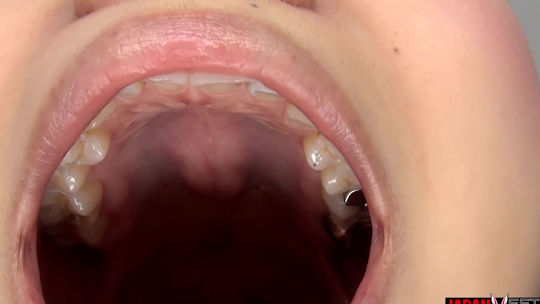 Japan Ff Intimate Oral Selfies A Sensual Encounter