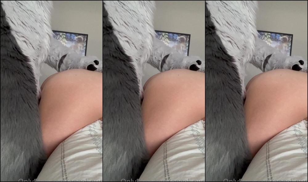 Angel Pups 528845095 Getting A Good Pounding 03 0Eb22588 B976 41E6 Aa64 4237Bea0E869