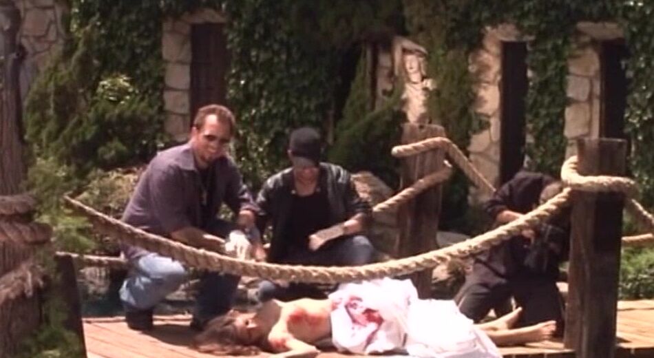 "Roxy DeVille, Darryl Hanah, Dyanna Lauren, Devon Lee, Shawna Lenee, Celeste Star, Madelyn Marie, Jordan Kingsley, Mia Presley, Tommy Gunn, Sean Michaels, Nick Manning, Barrett Blade, Marcus London, Kris Slater" Horror, Feature, Vampires Succubus of 