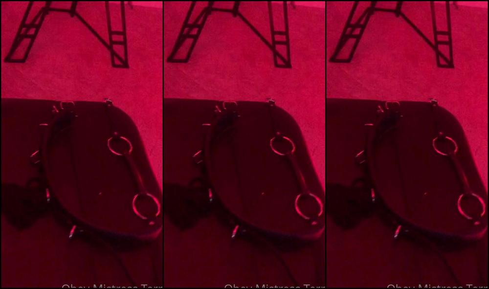 obeymistressterra-03-08-2020-638978083-playing-with-my-cash-findom-looser-today