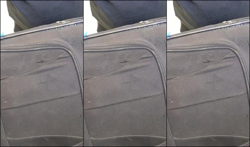 Raindegrey 3002963311 09 04 2023 I Always Travel With A Bountiful Supply Of Sex Toys Always And Sex Toys Are Expensive