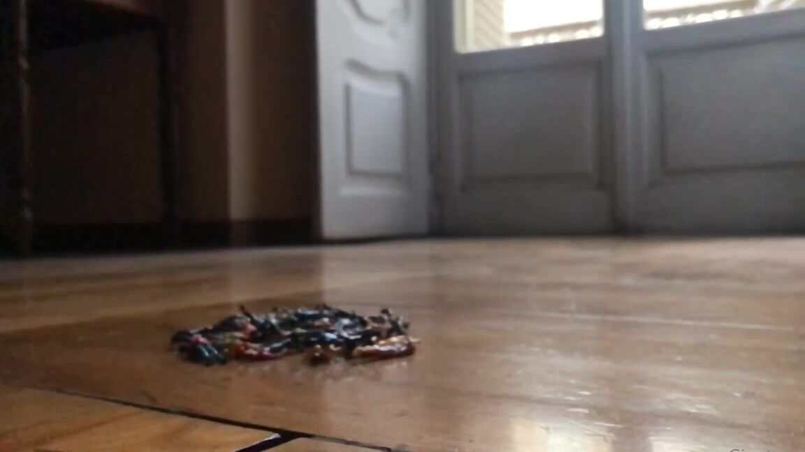 Giantess Elixs Nicknamed Giantesselixs 07 26 2021 Onlyfans Video Look How Easily I Squash Them With My Smelly Foot