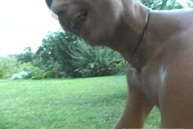 Rocco's Dirty Anal Kelly in Rome 2_2 SiteRip