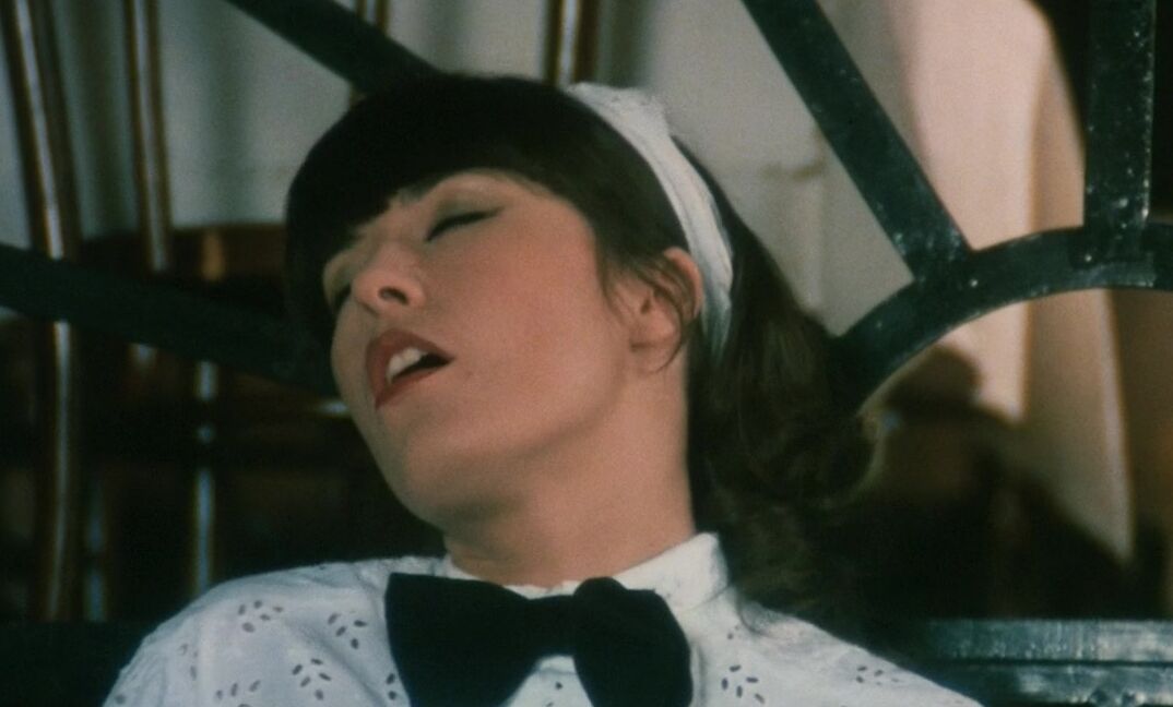 "Desiree Cousteau, Brigitte Lahaie, Cathy Stewart, France Lomay, Karine Gambier, Monique Carrere, Morgane, Sophie AbelaidRichard Lemieuvre, Pjotr Stanislas, Dominique Aveline, Alban Ceray, Dominique Irissou, John Oury, Tony Morena." Feature Enquetes 