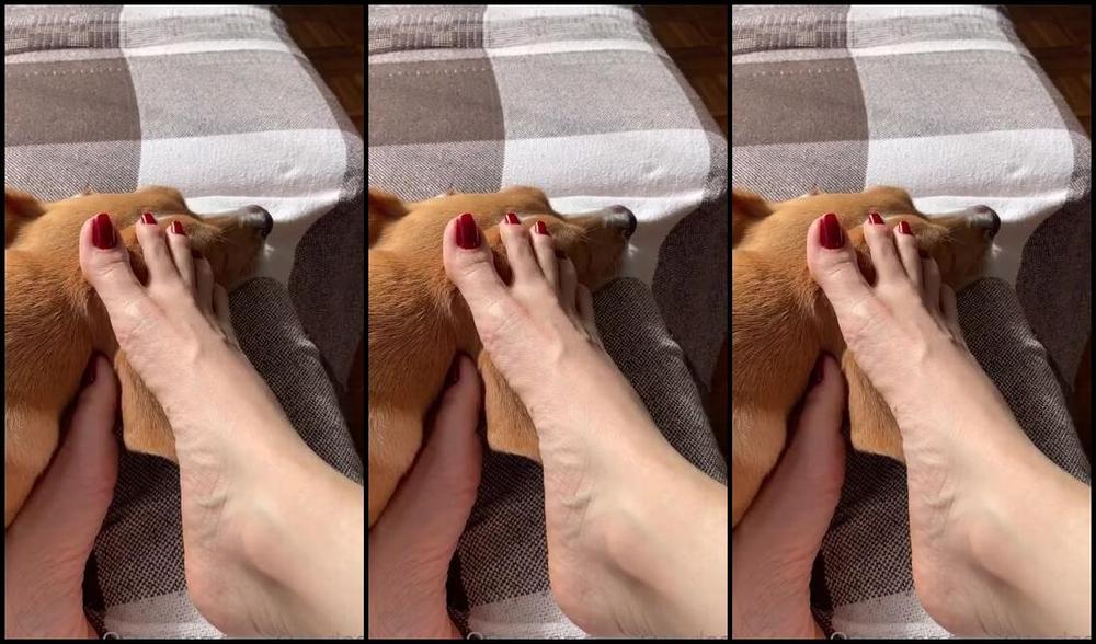 Srta Dess Nicknamed Srtadess 12 12 2021 Onlyfans Video My Dog