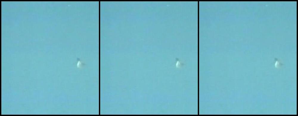 "Annie Sprinkle, Roger Caine, Andrea True, J.J. Jones, Herschel Richard, George Arthur, Billy Jaw-Breaker, Justin Case, Byron Stress, Sandra Sweat, Kate Post, Ed Marshall, Johanan Stein, Viju Krem" Classic Smashd MASH'd Hudson Productions, Caballero 