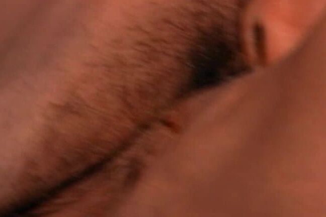 "Alicia Rio, Brittany O'Connell, Celeste, Crystal Wilder, Dyanna Lauren, Kylie Ireland, Leena, Lynden Johnson, Misty Rain, Nina Hartley, Porsche Lynn, Rebecca Bardoux, Sabrina Scott, Sahara Sands, Sarah Jane Hamilton, Sheena, Summer Knight, Tiffany M