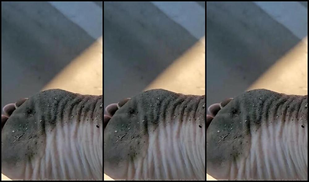 Oneluv T Nicknamed Oneluv T 11 01 2021 Onlyfans Video Filthy Soles I Know You Wanna Lick Them Clean You Dirty Boy