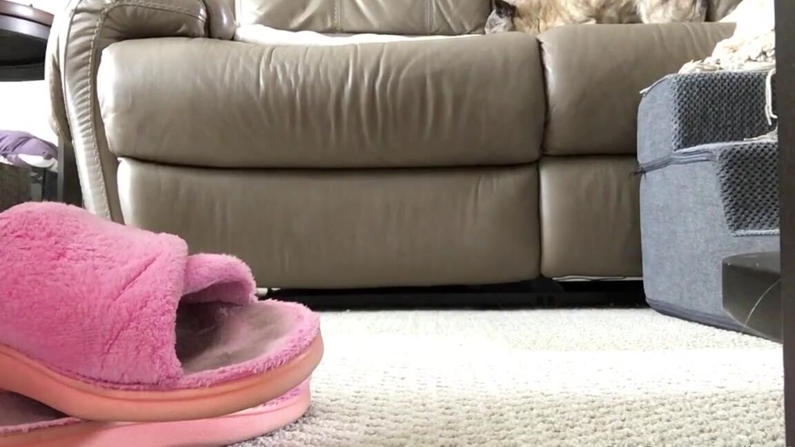 Alice Is More Nicknamed Aliceismore 09 02 2023 Onlyfans Video Morning Coffee Ramble