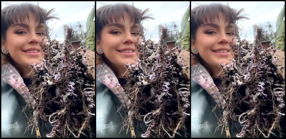 Punchy Mama Nicknamed Punchymama 11 15 2024 Onlyfans Video Some Sfw Activities