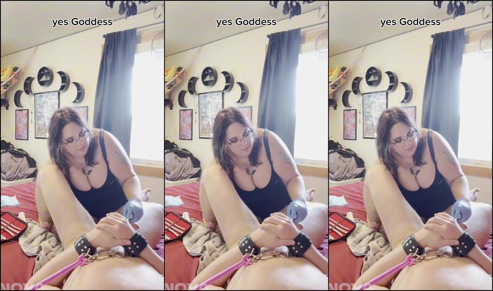 Ruinedorgasms Redgifs Squigglyplaintiveportuguesemanofwar