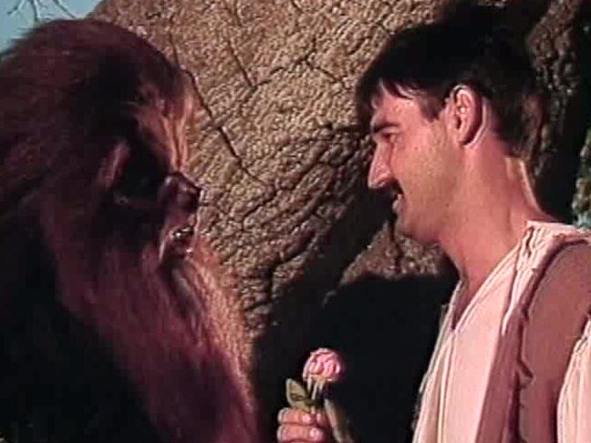 "Tracy Adams, Nikki Knights, Alicia Monet, Mike Horner, John Leslie, Tom Byron, Jacqueline Lorians, Meagan Leigh, Lisa Bright, Jerry Butler." Classic Beauty And The Beast. Paul Thomas VCA Pictures