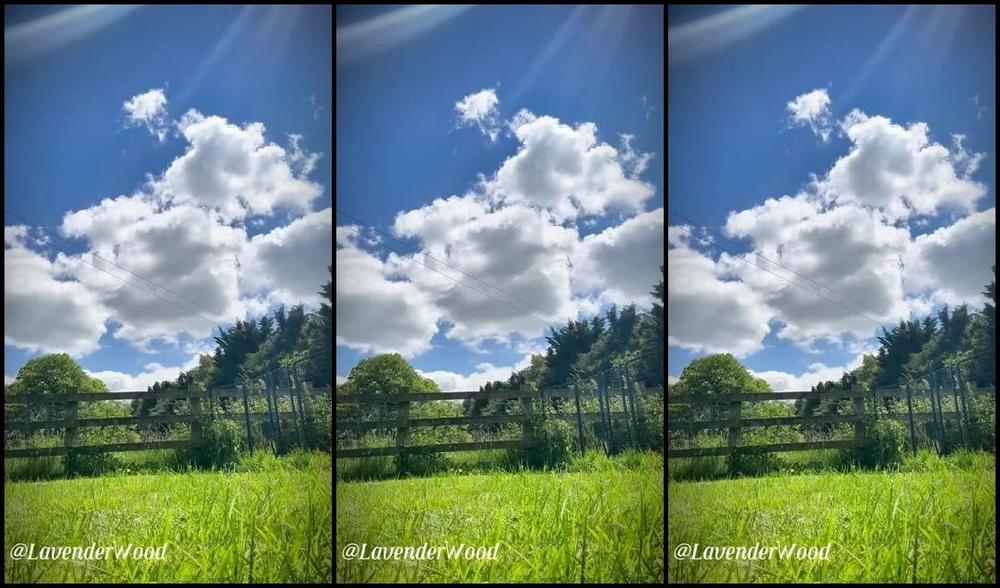 Lavender Wood Nicknamed Lavenderwood Findom 06 26 2024 Onlyfans Video A Good Cooling Off In The Garden Tip If You Think I Should Get Out My