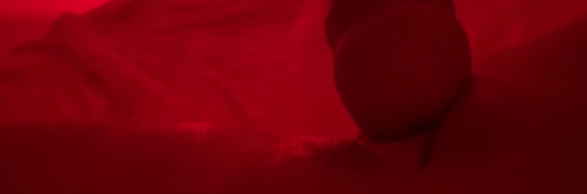 Ellaarievilo Nicknamed Ellaarievilo 11 05 2023 Onlyfans Video Assista Ate O Final Ja Viu Um Clitoris Pulsando