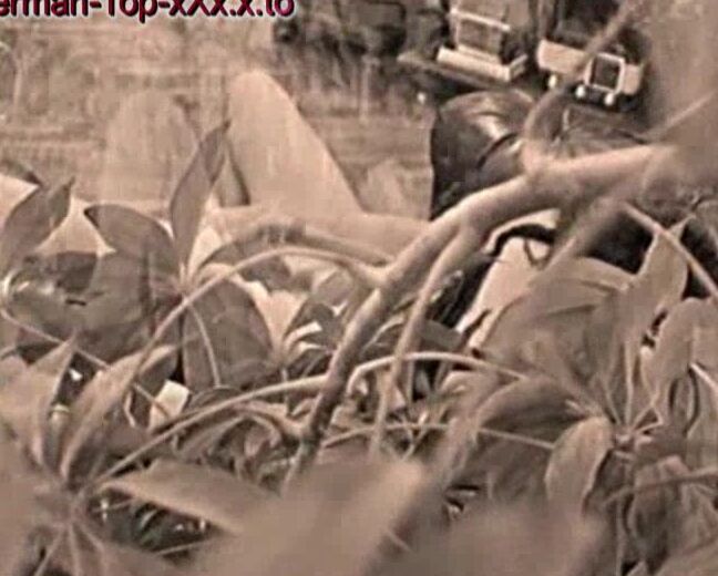 0ma-Pornos von 1965 SiteRip