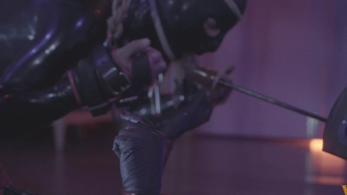 Vivienne Lamour Double Fuck Machines For The Drone Manyvids