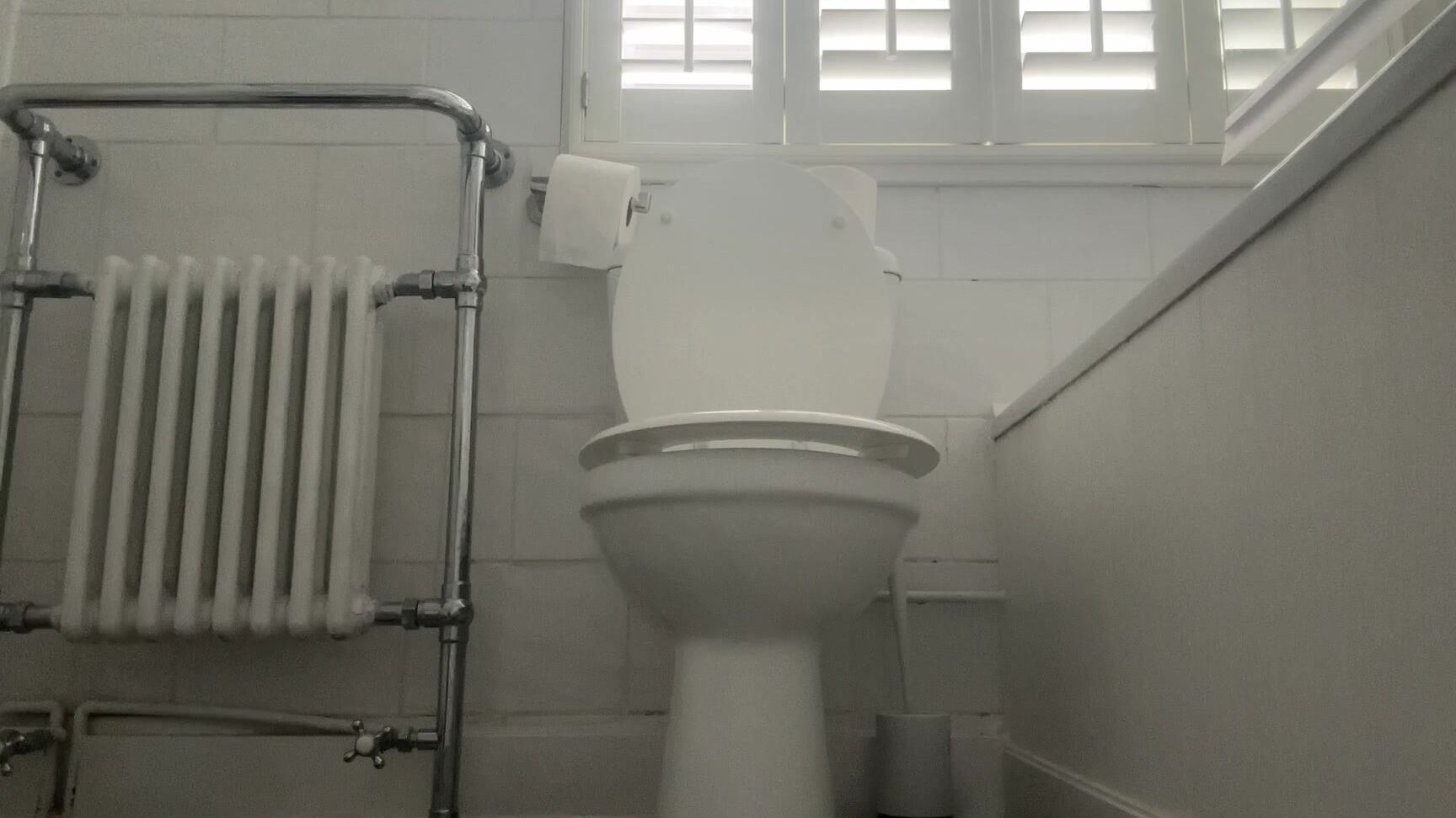 "MissValentina" femdom, femdompov, publictoilet, toiletfetish, toilethumiliation Cum Over My Toilet manyvids