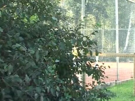 "Elaine, Doris, Tanja, Miranda, Celia, Andy Sheridan, Sue Diamond, Justine Ashley, Rachel Evans" rape, straight, anal, Feature, voyeur In Die Falle Getappt MAGMAfilm