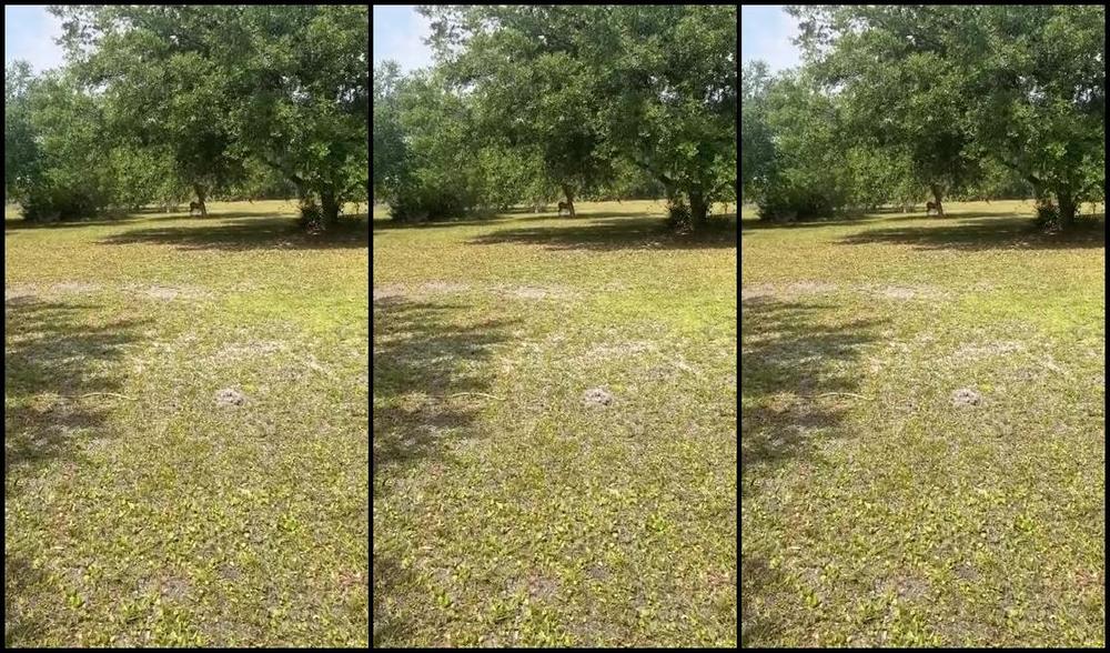 Alpha Leather Nicknamed Alphaleather 04 02 2024 Onlyfans Video Darwin Awards