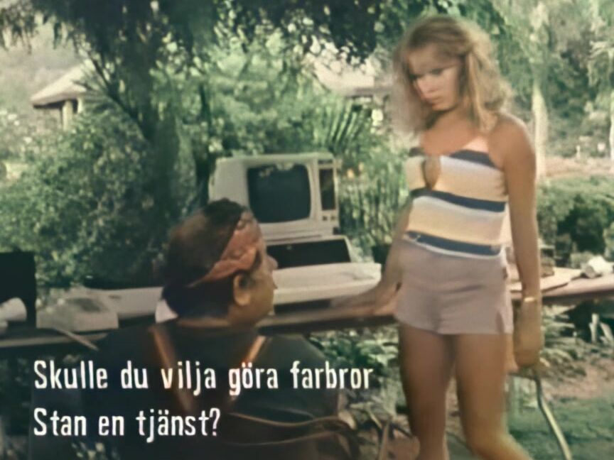 "Traci Lords, Jerry Butler, Jay Serling, Rachel Ashley, Kristara Barrington" Classic, Feature Bad Girls 3 Collectors video, inc