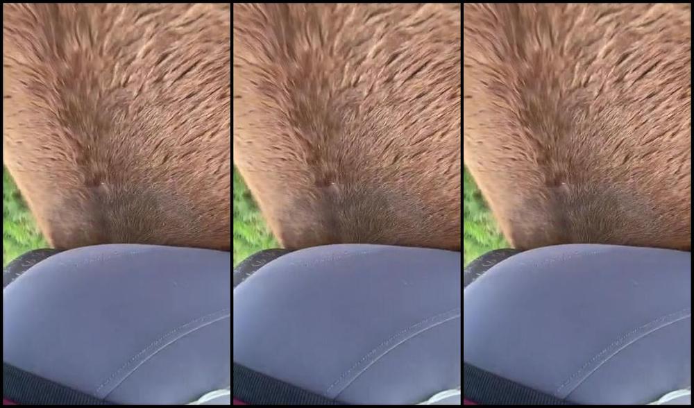 Equestrian Queen Sasja Luna Nicknamed Queensasjaluna 01 27 2024 Onlyfans Video Bare Back On My Horse