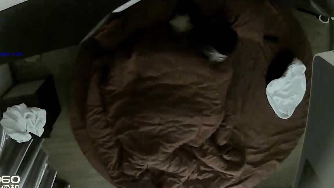 Asian Hacked Ipcam Ipc 02154