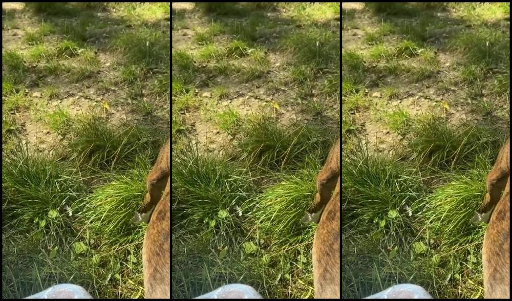 Angelika Rouge Nicknamed Angelika Rouge Onlyfans Sharing My Normal Life With You And If You Have Feet Fetish Start Worshiping My Feet