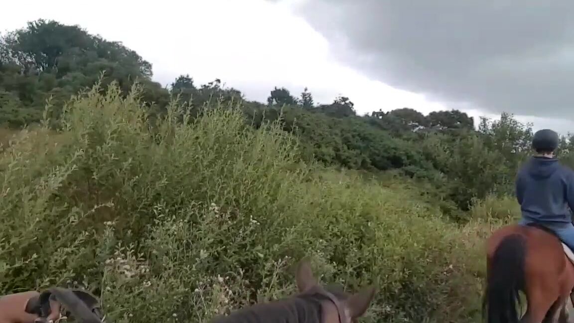 Miss Foxx Nicknamed Missfoxx 08 24 2017 Onlyfans Video Video Riding An Irish Pony