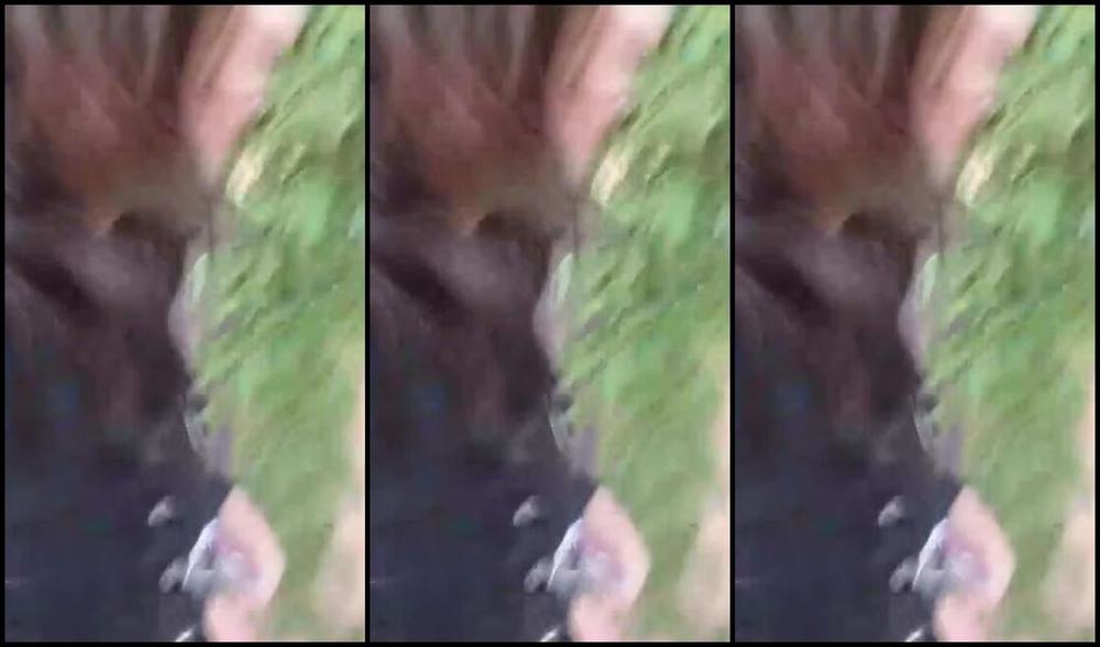 Reina Leather Nicknamed Reinaleather Onlyfans Video 6191