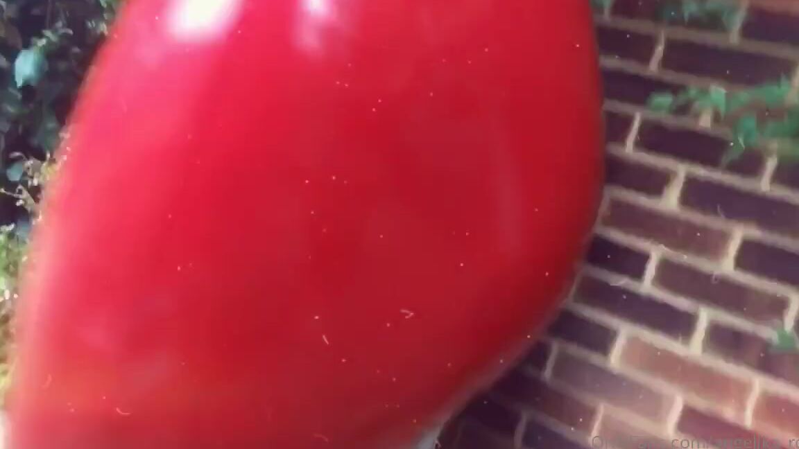 Angelika Rouge Nicknamed Angelika Rouge Onlyfans I Need Someone Who Will Eat My Ass And Make Me Cum