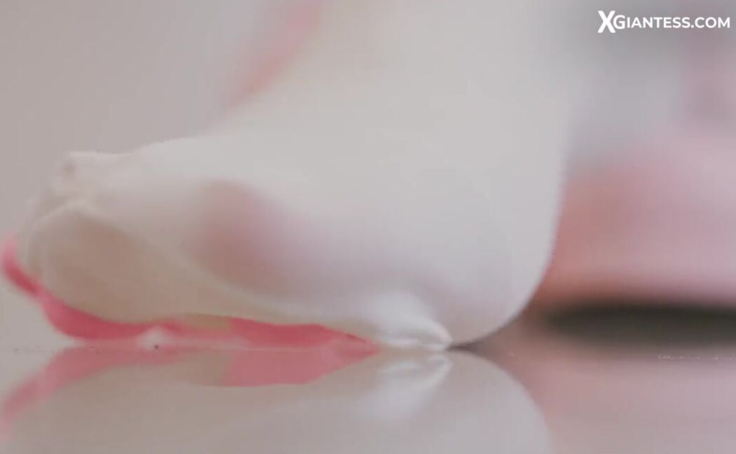 Giantess Ella Nicknamed Giantessella 07 31 2024 Onlyfans Video Part 2 Of The Last Video Story You Have Been A Slave For Her For