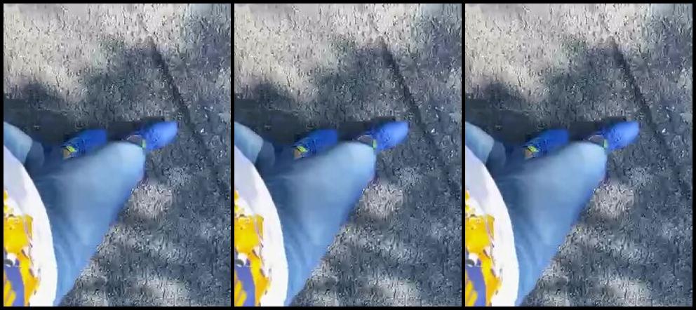 Nanadagodd Nicknamed Nanamoneyfeet Onlyfans Golden State Reebok Classics Yall Already Knooooow I Love Shoes Born N Raided In The Coun 6