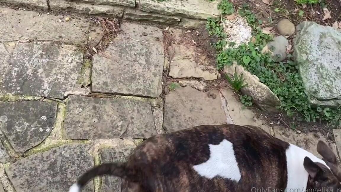 Angelika Rouge Nicknamed Angelika Rouge Onlyfans Video 88
