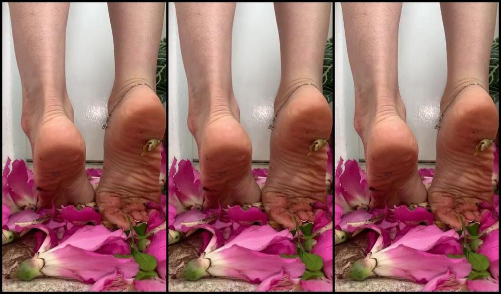 Srta Dess Nicknamed Srtadess 01 13 2023 Onlyfans Video Flowers