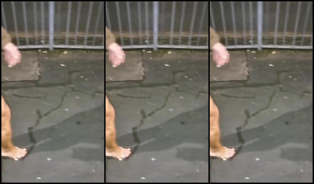 Divastiletto Nicknamed Divastiletto 01 13 2024 Onlyfans Video Walking Home Last Night