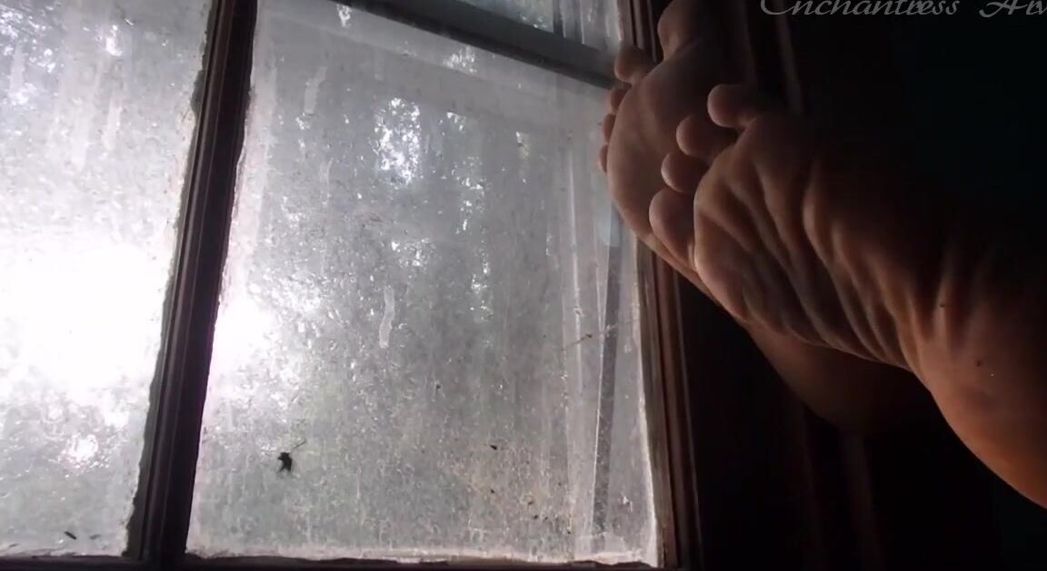 Enchantress Arwyn Nicknamed Mightyarwyn Onlyfans I Love A Good Rainy Sunday Morning