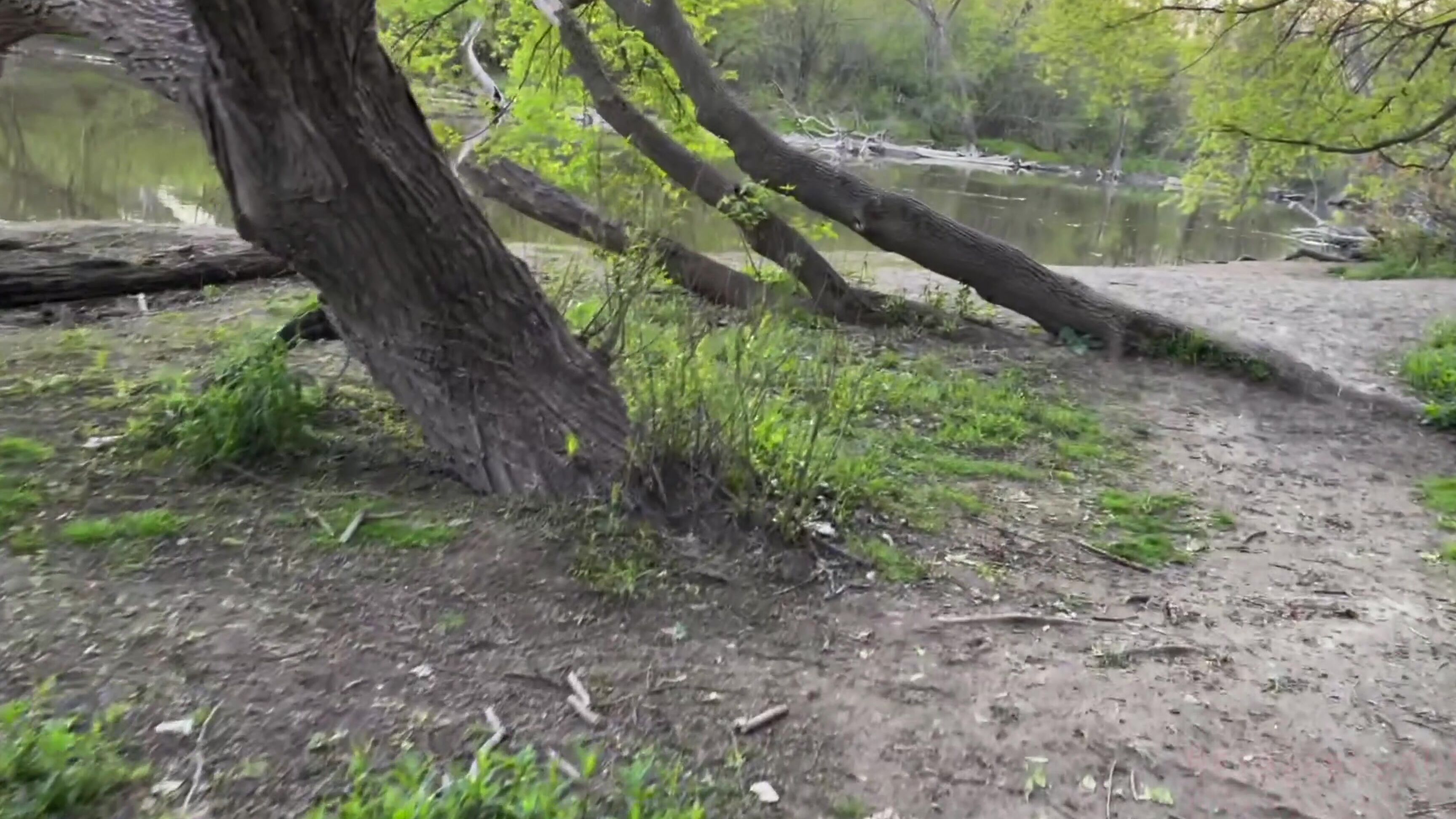 "Rardysexuality" domestic discipline, public outdoor, spanking, spanking m/f, thong fetish Walking With A Brat manyvids