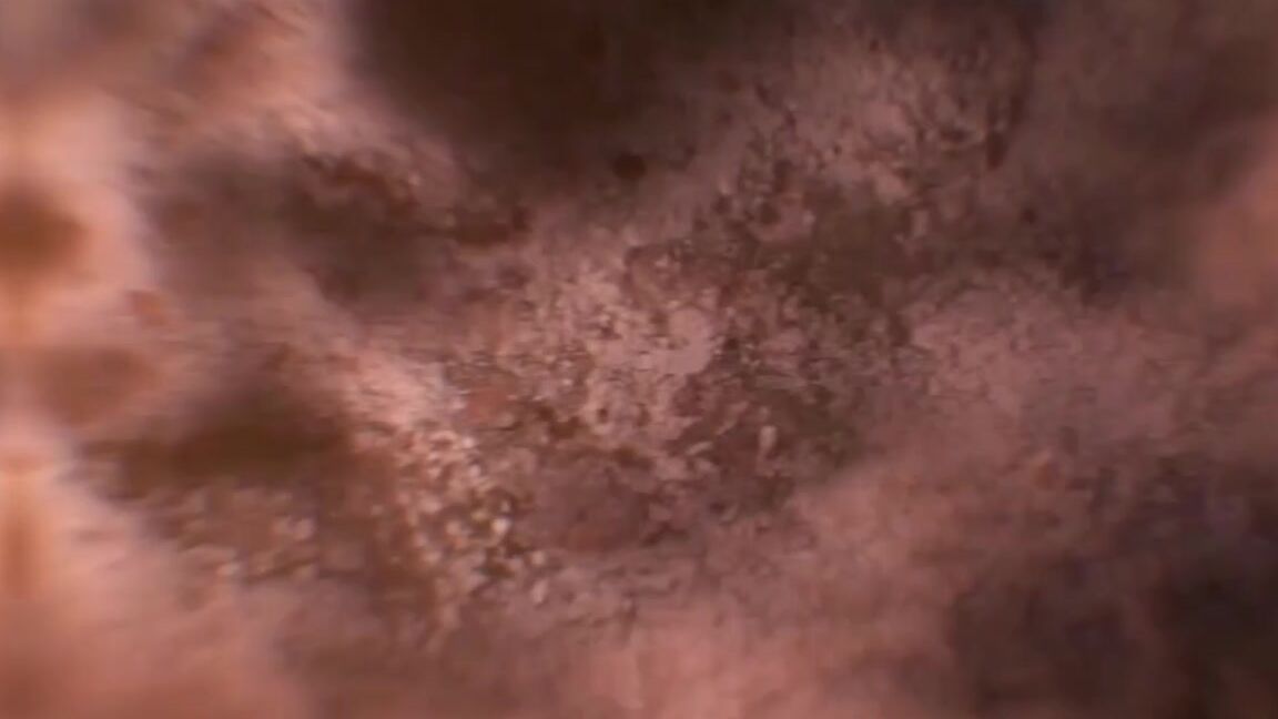 Vicktoria Tacos Nicknamed Vicktoriatacos 09 09 2023 Onlyfans Video Head 2 Head Video Battle Season Two Kinda Mean For The Second Season Of This