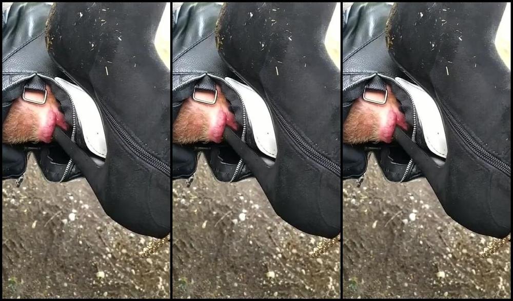 Herrin Lady Sarah Nicknamed Herrinlady Onlyfans Wer Wrde Da Nicht Gerne Den Dreck Runterlecken Wollen Hahaha